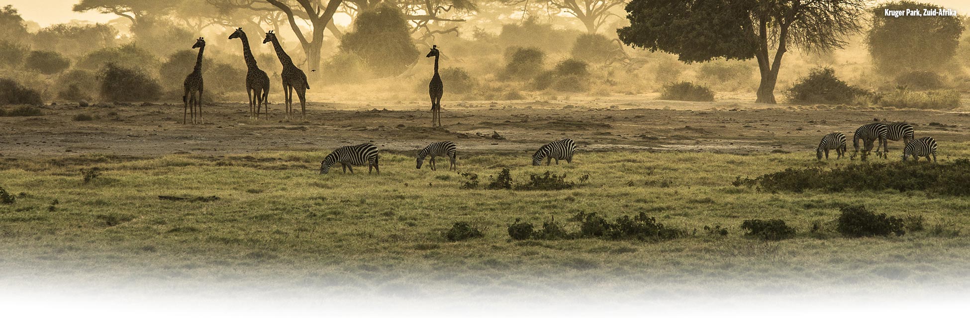 Afrika en de Indische Oceaan