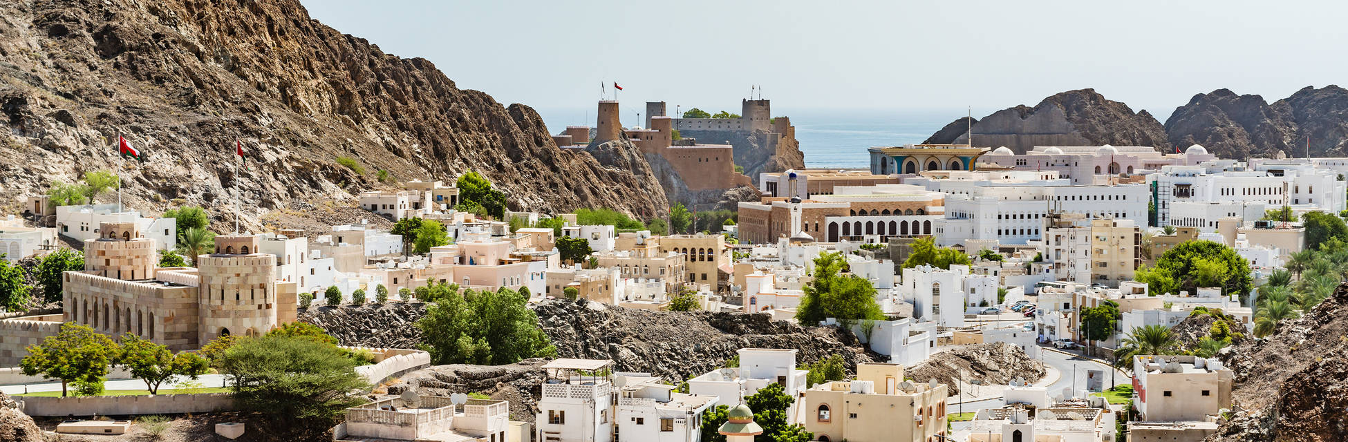 muscat-fotolia_93517037_l.jpg_3