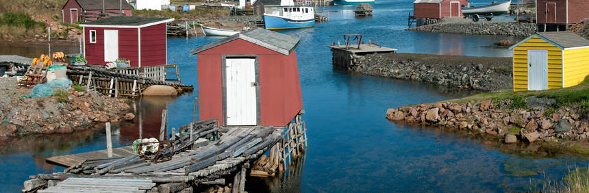 newfoundland-haven-Fotolia_175766125_S.jpg