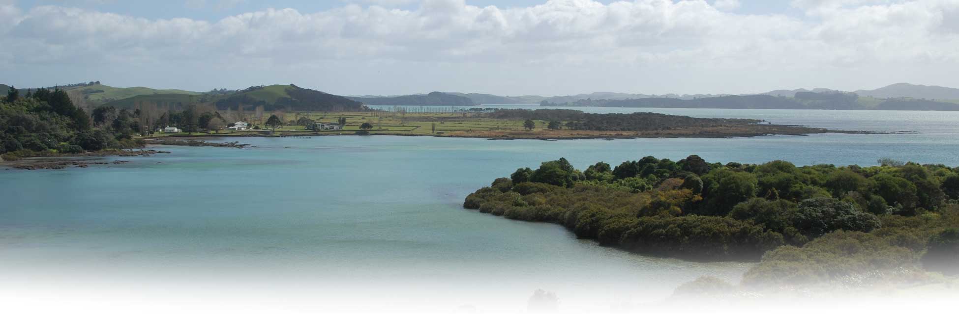 nieuw-zeeland-auckland.jpg