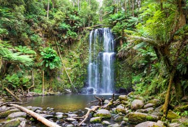 nieuw-zeeland-milford-sound