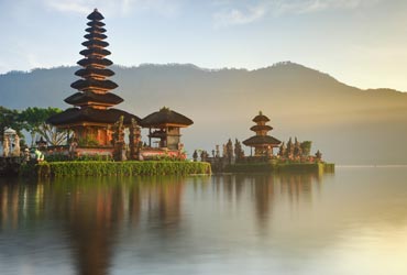 bali_rijstveld