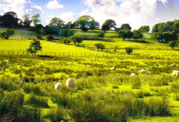 groot-brittannie-ierland-engeland-koninkrijk-3