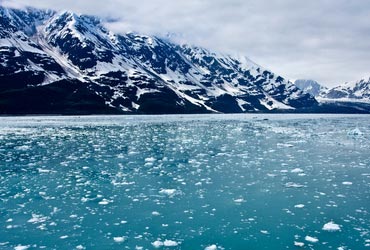 inside-passage-alaska-orkas