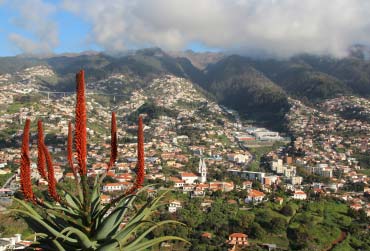 caribbean-antigua-english-harbour.jpg