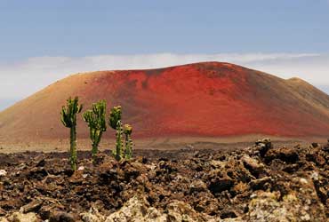 tenerife-puerto-de-la-cruz-fotolia_44037525_m