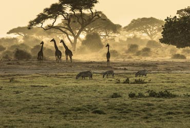 afrika-kaapstad-overzicht