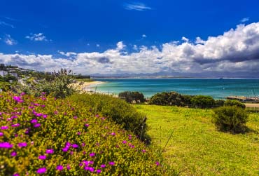 zuid-afrika-kaapstad-camps-bay.jpg