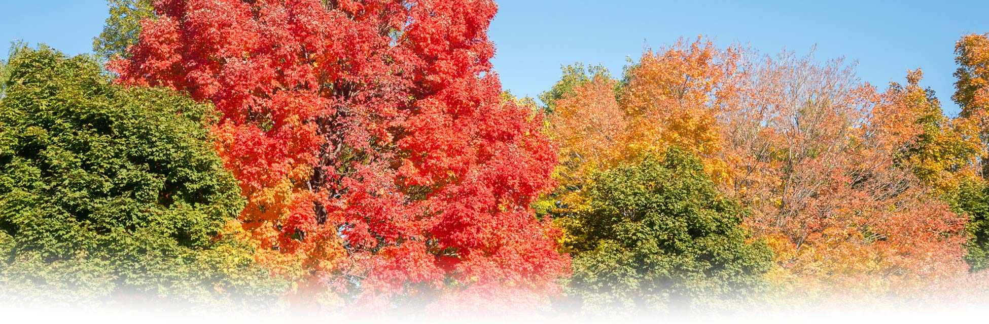 verenigde-staten-canada-indian-summer.jpg