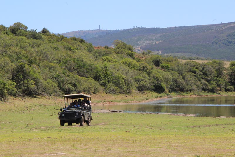 Waarom u excursies moet boeken tijdens een Zuid-Afrika cruise